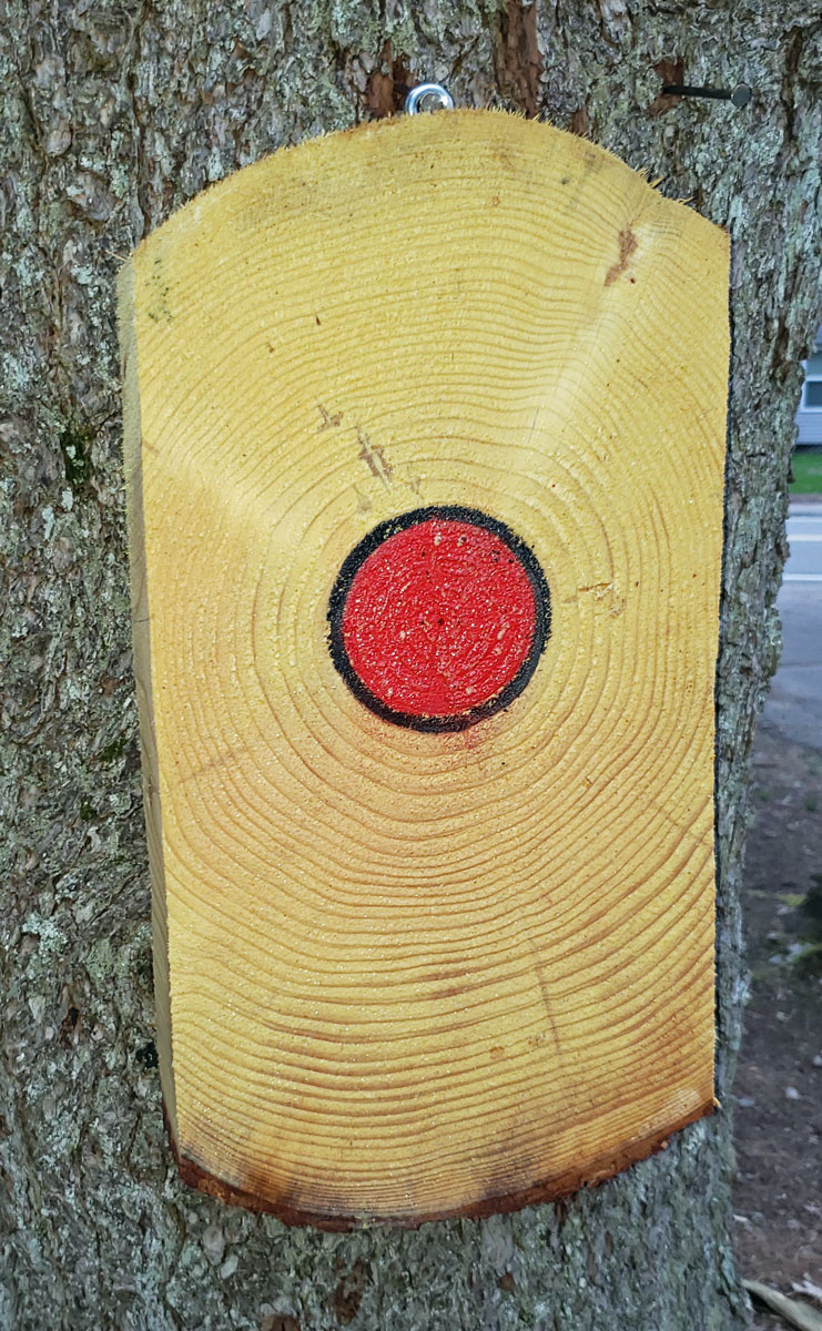 Knife Throwing Target 885